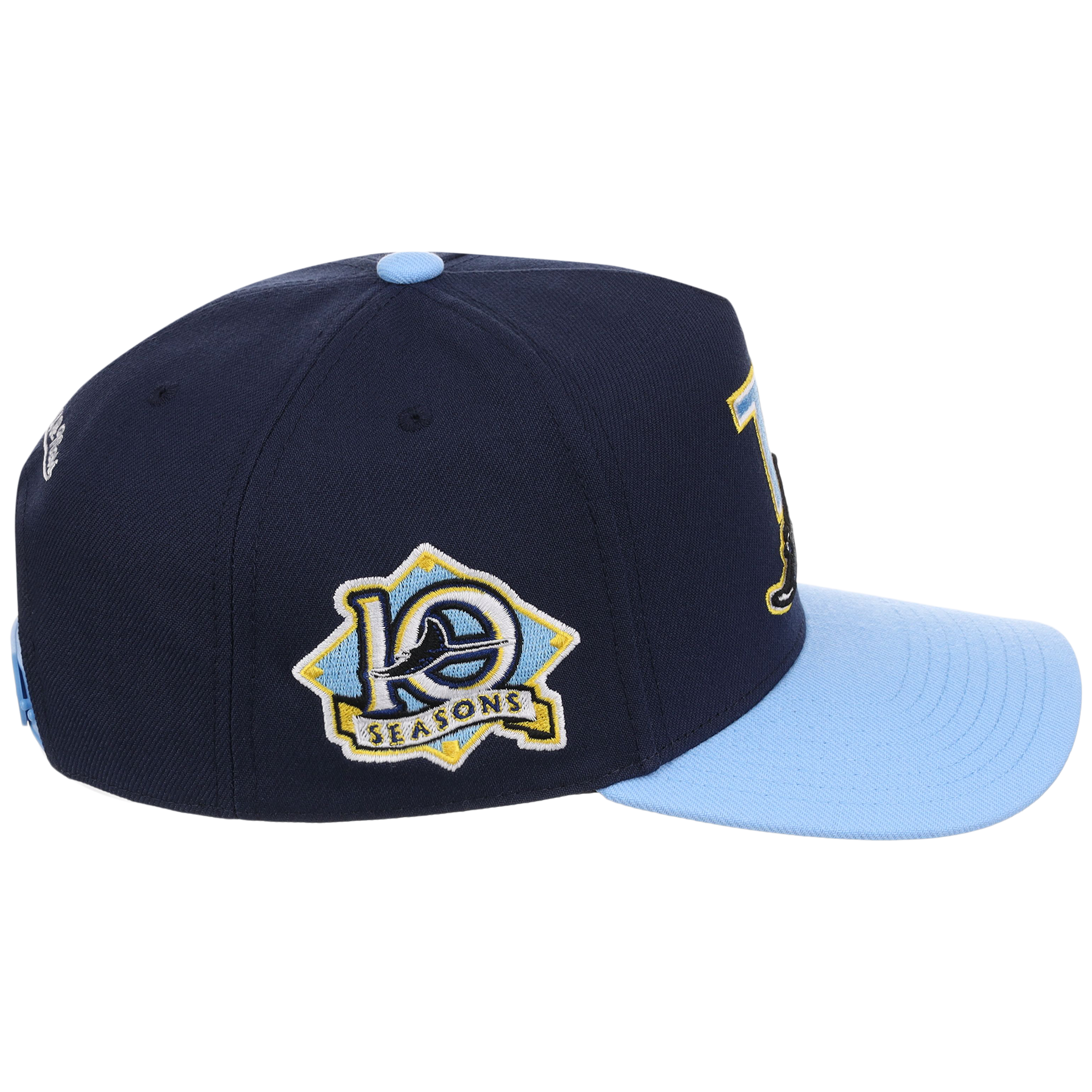 Tampa Bay Rays Mitchell & Ness MLB 'Era Flip' Heritage Series Pro Pinch - Navy/Sky