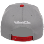 Texas Rangers Mitchell & Ness MLB 'Era Flip' Heritage Series Pro Pinch - Grey/Grey