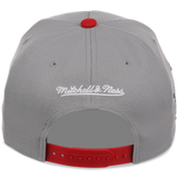 Texas Rangers Mitchell & Ness MLB 'Era Flip' Heritage Series Pro Pinch - Grey/Grey