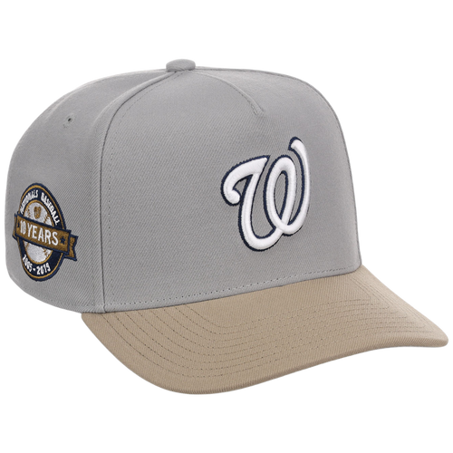 Washington Nationals Mitchell & Ness MLB 'Era Flip' Heritage Series Pro Pinch - Grey/Tan