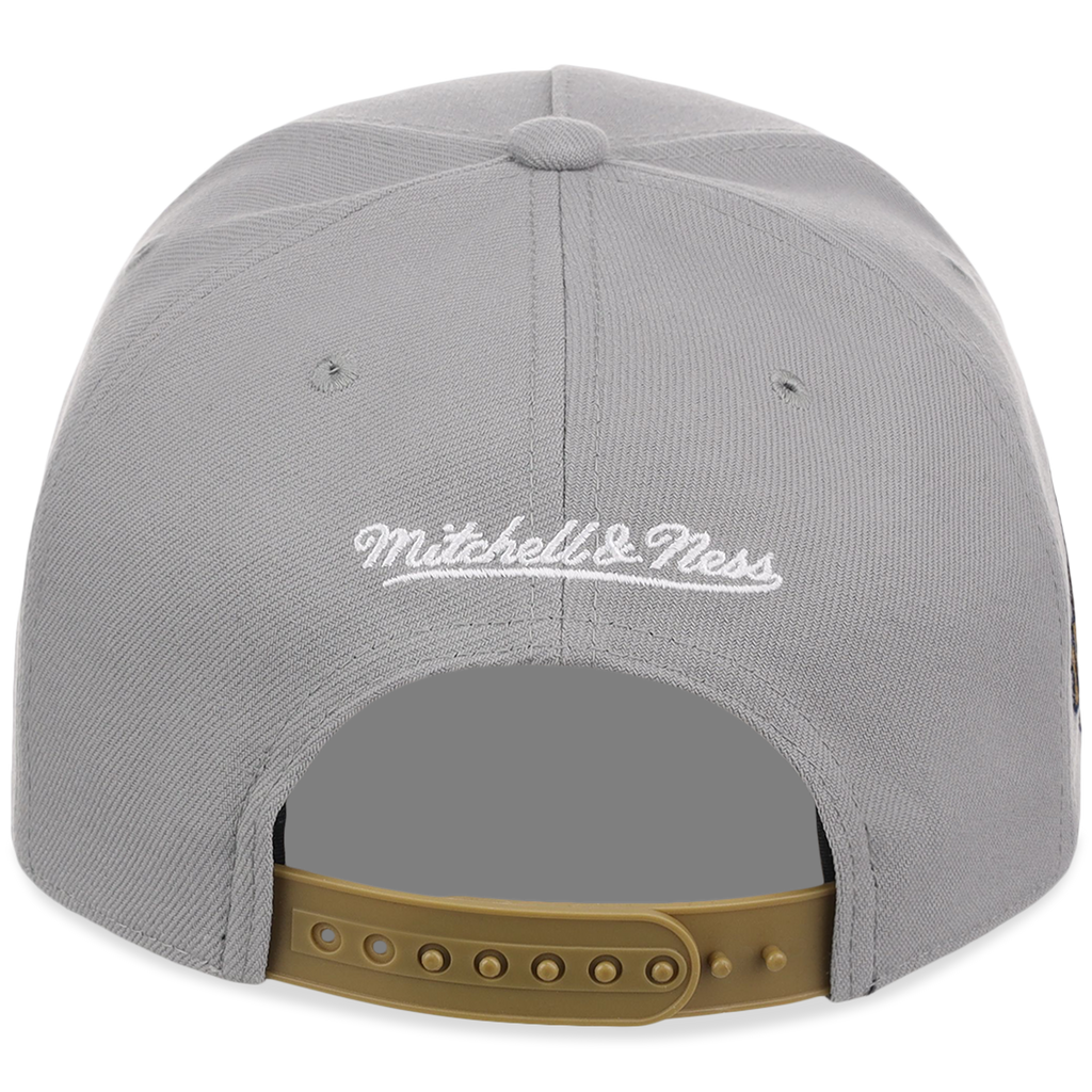 Washington Nationals Mitchell & Ness MLB 'Era Flip' Heritage Series Pro Pinch - Grey/Tan