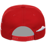 St. Louis Cardinals MLB Simpsons 'Clouds' New Era 9FORTY
