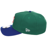 Chicago Cubs MLB Simpsons Localized New Era 9FORTY - Ivy - Green/Blue