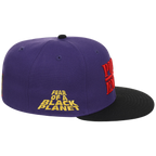 The "Rebel Radio" Public Enemy Collection - 'Fear of a Black Planet' - Purple/Black Fitted