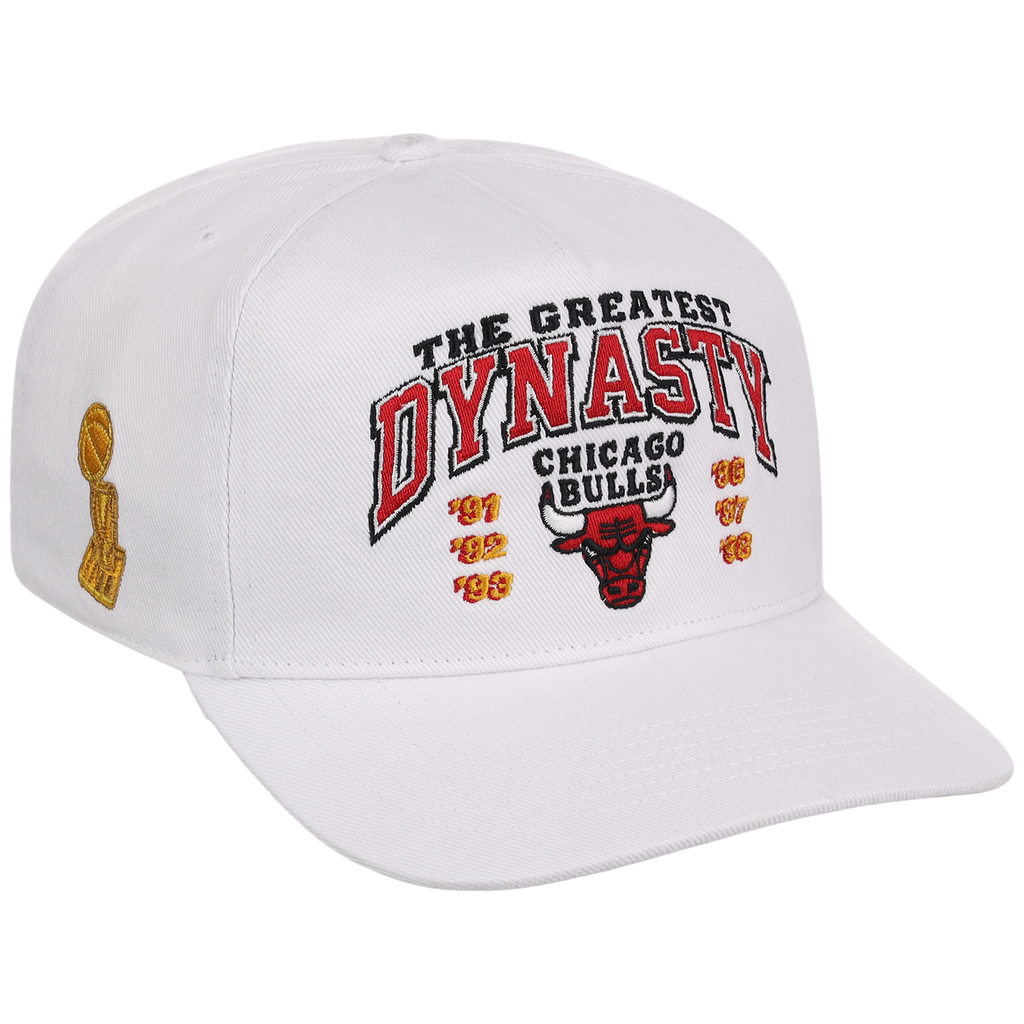 Chicago Bulls NBA Champ '47 Hitch Collection - The Great Dynasty' 3-PEATS
