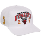 Chicago Bulls NBA Champ '47 Hitch Collection - The Great Dynasty' 3-PEATS