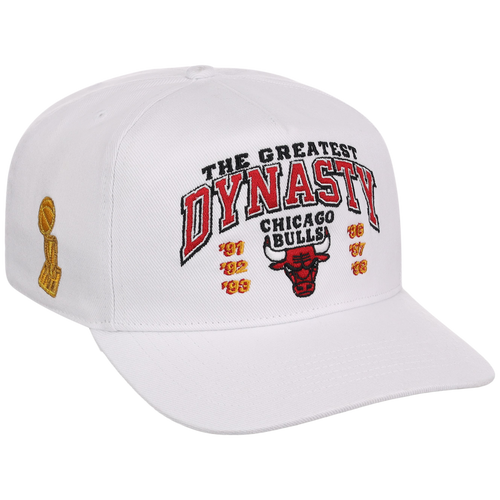 Chicago Bulls NBA Champ '47 Hitch Collection - The Great Dynasty' 3-PEATS