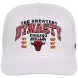 Chicago Bulls NBA Champ '47 Hitch Collection - The Great Dynasty' 3-PEATS