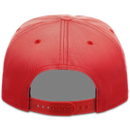 Houston Rockets NBA Champ '47 Hitch Collection - 1995 Champions