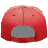 Houston Rockets NBA Champ '47 Hitch Collection - 1995 Champions