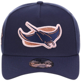 Tampa Bay Rays MLB Copper Blush New Era 9FORTY