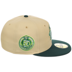 Minnesota Twins MLB Bank Roll New Era 59FIFTY