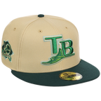 Tampa Bay Rays MLB Bank Roll New Era 59FIFTY