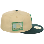 Brooklyn Dodgers MLB Bank Roll New Era 59FIFTY