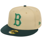 Brooklyn Dodgers MLB Bank Roll New Era 59FIFTY