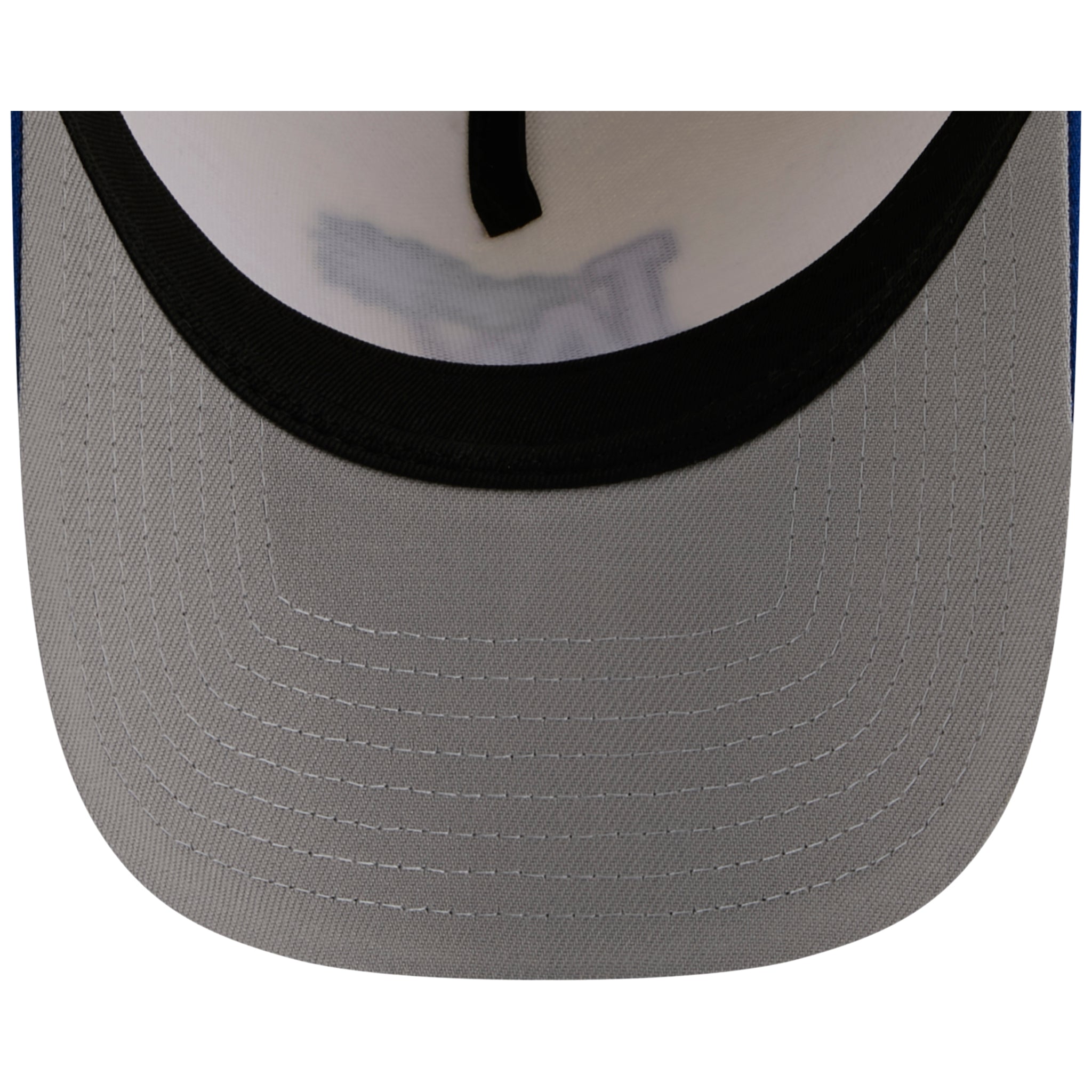 Los Angeles Dodgers Los Angeles Crown the City - Palm - Chrome/Royal New Era 9FORTY