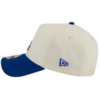 Los Angeles Dodgers Los Angeles Crown the City - State Flag Fill - Chrome/Royal New Era 9FORTY