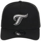 Toronto Blue Jays Toronto Crown the City - Liquid Titanium New Era 9FORTY (Black/Black)