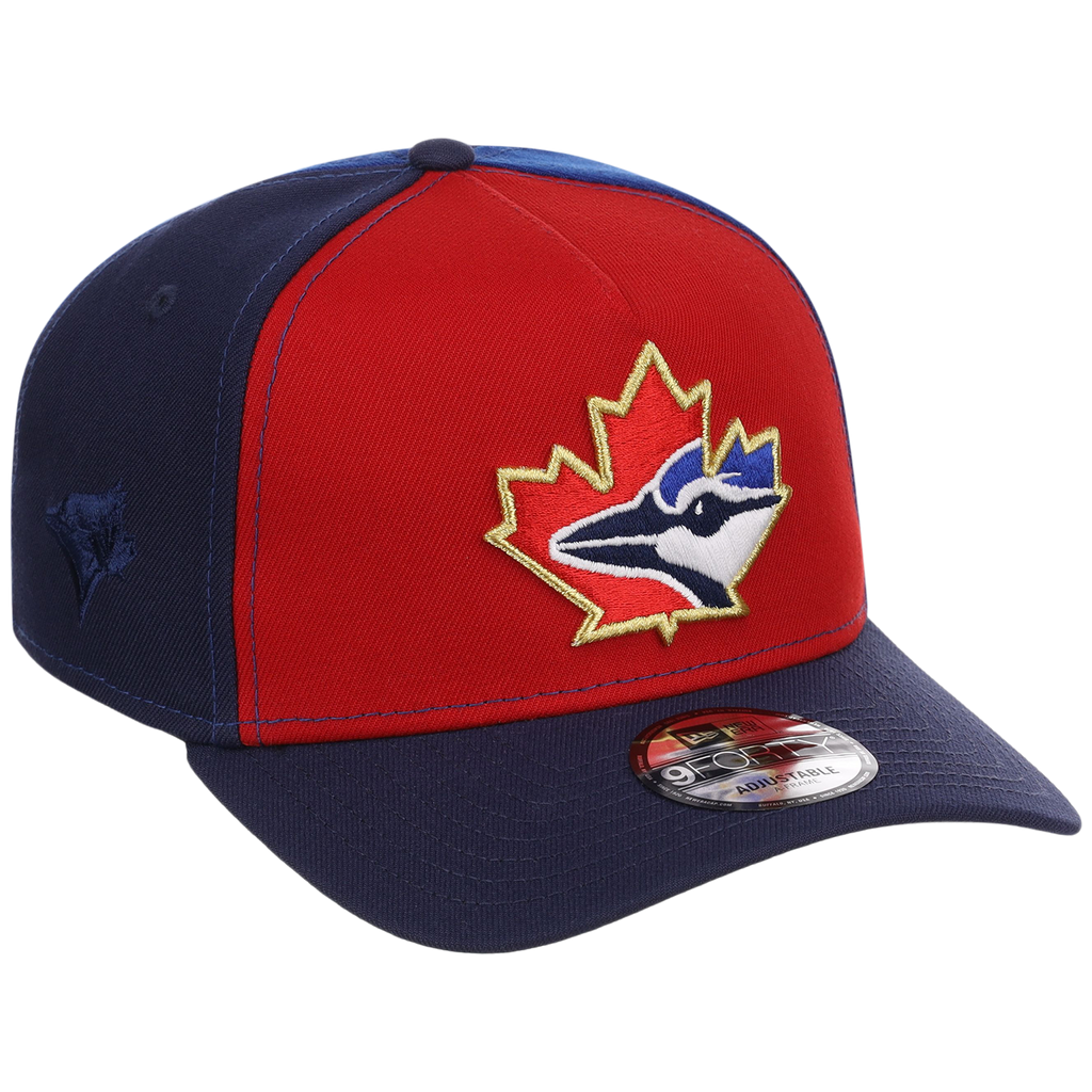 Toronto Blue Jays Toronto Crown the City - Pinwheel New Era 9FORTY (Multi/Navy)