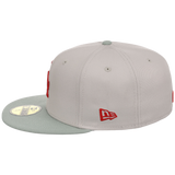 Los Angeles Dodgers MLB Stone Widow New Era 59FIFTY