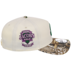 Cleveland Guardians MLB Purple Trees New Era 9FORTY