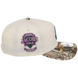Cleveland Guardians MLB Purple Trees New Era 9FORTY