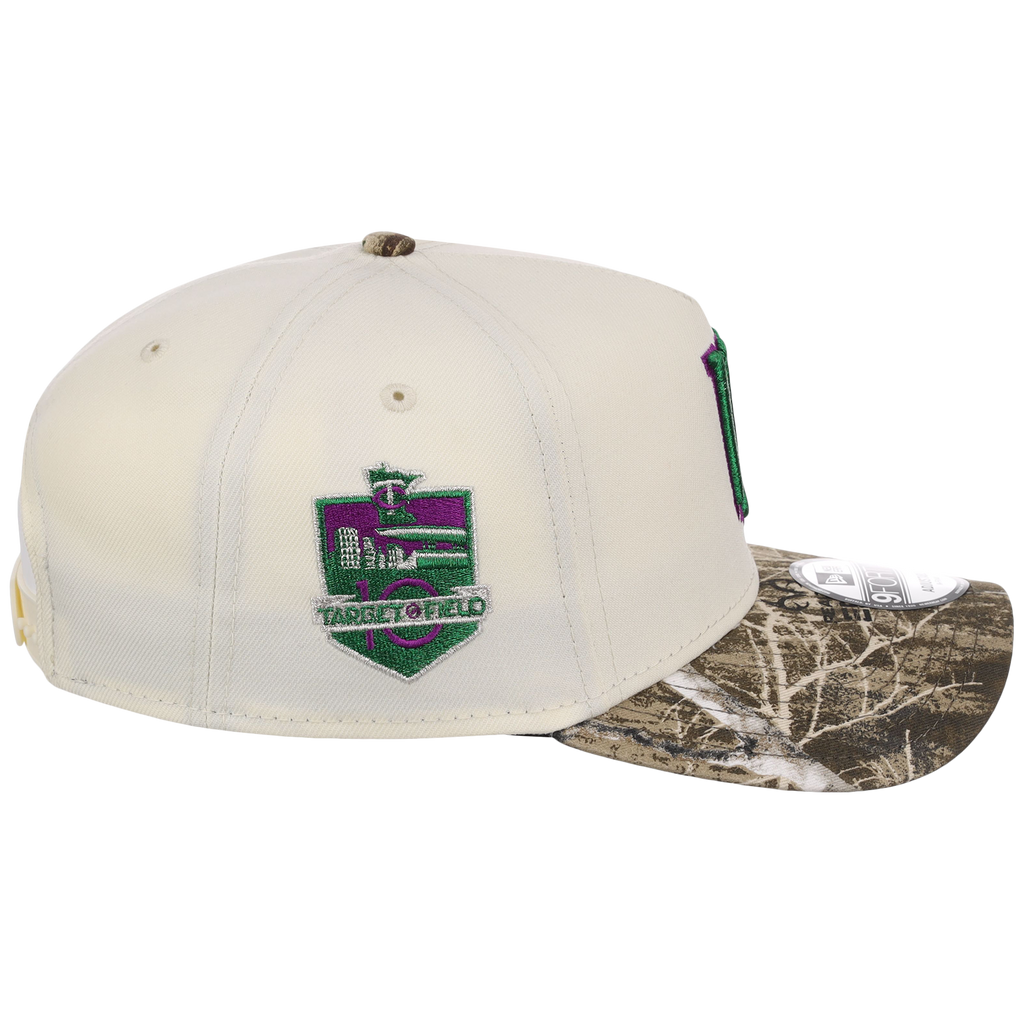 Minnesota Twins MLB Purple Trees New Era 9FORTY