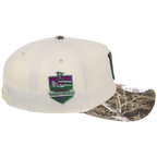 Minnesota Twins MLB Purple Trees New Era 9FORTY