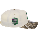 Minnesota Twins MLB Purple Trees New Era 9FORTY