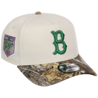 Brooklyn Dodgers MLB Purple Trees New Era 9FORTY