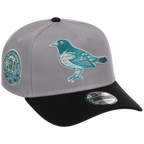Baltimore Orioles MLB Cloudy Glass New Era 9FORTY