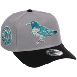 Baltimore Orioles MLB Cloudy Glass New Era 9FORTY