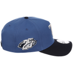 Tampa Bay Rays MLB Indigo Navy New Era 9FORTY