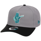 Chicago Cubs MLB Cloudy Glass New Era 9FORTY