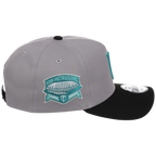Minnesota Twins MLB Cloudy Glass New Era 9FORTY