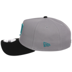 Minnesota Twins MLB Cloudy Glass New Era 9FORTY