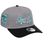 St. Louis Cardinals MLB Cloudy Glass New Era 9FORTY