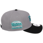 Tampa Bay Rays MLB Cloudy Glass New Era 9FORTY