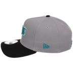 Tampa Bay Rays MLB Cloudy Glass New Era 9FORTY
