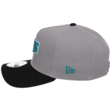 Tampa Bay Rays MLB Cloudy Glass New Era 9FORTY
