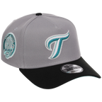 Toronto Blue Jays MLB Cloudy Glass New Era 9FORTY