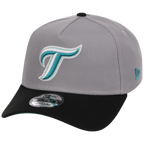 Toronto Blue Jays MLB Cloudy Glass New Era 9FORTY