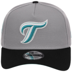 Toronto Blue Jays MLB Cloudy Glass New Era 9FORTY