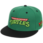 SATURDAY MORNING CARTOONS: TEENAGE MUTANT NINJA TURTLES - Turtles Fitted