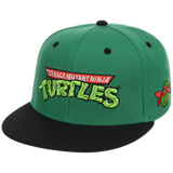 SATURDAY MORNING CARTOONS: TEENAGE MUTANT NINJA TURTLES - Turtles Fitted