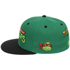 SATURDAY MORNING CARTOONS: TEENAGE MUTANT NINJA TURTLES - Turtles Fitted