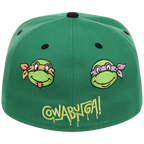 SATURDAY MORNING CARTOONS: TEENAGE MUTANT NINJA TURTLES - Turtles Fitted