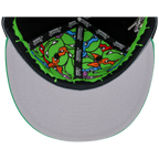 SATURDAY MORNING CARTOONS: TEENAGE MUTANT NINJA TURTLES - Raphael Turtles Fitted