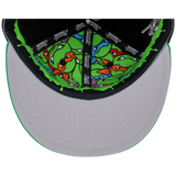 SATURDAY MORNING CARTOONS: TEENAGE MUTANT NINJA TURTLES - Raphael Turtles Fitted