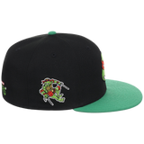 SATURDAY MORNING CARTOONS: TEENAGE MUTANT NINJA TURTLES - Raphael Turtles Fitted